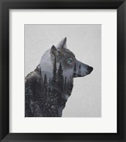 Framed Winter Wolf