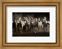 Framed Dream Horses