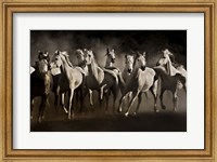 Framed Dream Horses