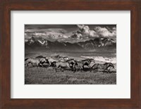 Framed Mountain Range Mavericks