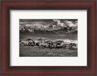 Framed Mountain Range Mavericks