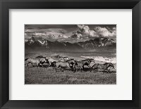 Framed Mountain Range Mavericks