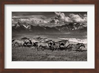 Framed Mountain Range Mavericks