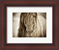 Framed Mustang Sally