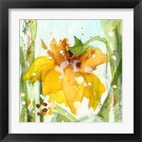 Framed Daffodil