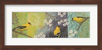 Framed Goldfinches Blooming