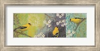 Framed Goldfinches Blooming