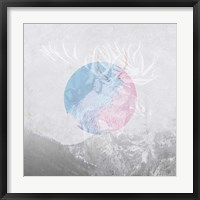 Moose 2 Framed Print