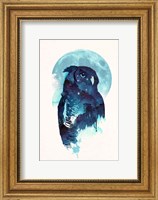 Framed Midnight Owl