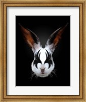 Framed Rabbit Rocks