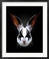 Framed Rabbit Rocks