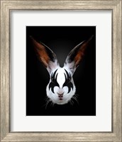 Framed Rabbit Rocks