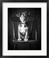 Framed Mutt Black & White