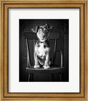 Framed Mutt Black & White