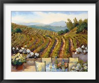 Framed Vineyards to Mount St. Helena