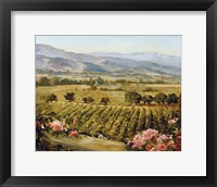 Framed Vineyards to Vaca Mountains