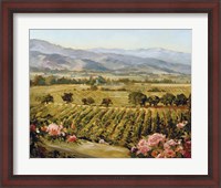 Framed Vineyards to Vaca Mountains