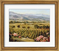 Framed Vineyards to Vaca Mountains