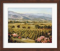 Framed Vineyards to Vaca Mountains