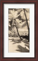 Framed Palm Shadows II