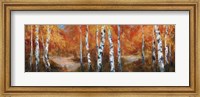 Framed Autumn Birch II