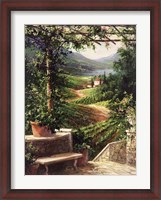 Framed Chianti Vineyard