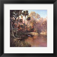 Framed Myakka Sunset