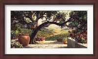 Framed Napa Patio