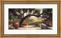 Framed Napa Patio