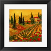 Framed 'Poppies of Toscano I' border=