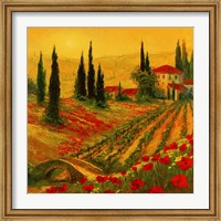 Framed Poppies of Toscano I