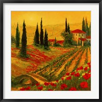 Framed Poppies of Toscano I