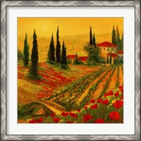 Framed Poppies of Toscano I