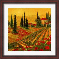 Framed Poppies of Toscano I