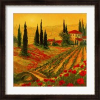 Framed Poppies of Toscano I