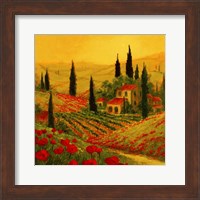 Framed Poppies of Toscano II