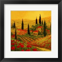 Framed Poppies of Toscano II