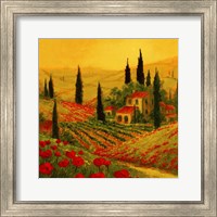Framed 'Poppies of Toscano II' border=