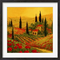 Framed Poppies of Toscano II