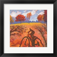 Framed Bicycle Shadow