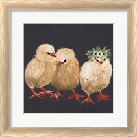 Framed Chick Trio