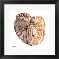 Framed Owls