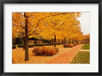 Framed Fall Walkway