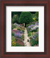 Framed Garden Cat