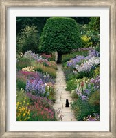 Framed Garden Cat