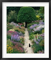 Framed Garden Cat