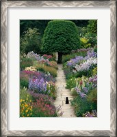 Framed Garden Cat