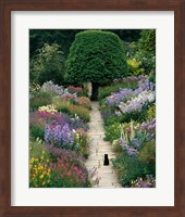 Framed Garden Cat