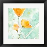 Framed Precious Poppies