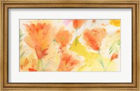 Framed Windblown Poppies #1